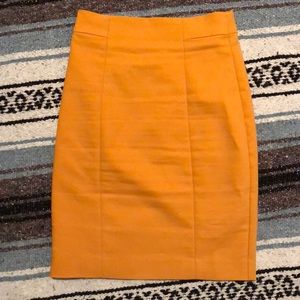 H&M Pencil Skirt